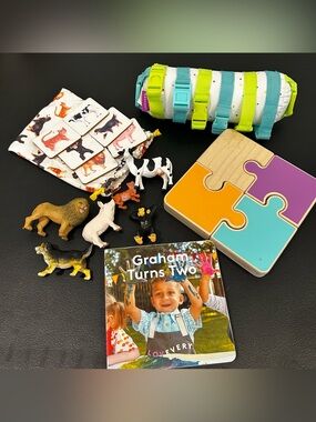 Lovevery Play Kit | The Companion